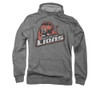 Image for Friday Night Lights Hoodie - East DIllon Lions