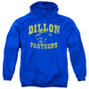 Image for Friday Night Lights Hoodie - Panthers