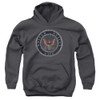 Image for U.S. Navy Youth Hoodie - Rough Emblem