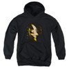 Image for Mighty Morphin Power Rangers Youth Hoodie - Trini Bolt