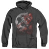 Image for Batman Heather Hoodie - Robin Spotlight