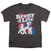 Image for My Little Pony Youth T-Shirt - Retro Brony for Life