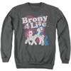 Image for My Little Pony Crewneck - Retro Brony for Life
