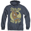 Image for Scooby Doo Heather Hoodie - Where Are You?