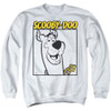 Image for Scooby Doo Crewneck - Scooby Square
