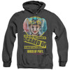 Image for Birds of Prey Heather Hoodie - I'm the One You Should Be Scared Of