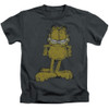 Image for Garfield Kids T-Shirt - Big Ol Cat