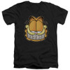Image for Garfield V Neck T-Shirt - Nice Grill