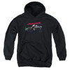 Image for General Motors Youth Hoodie - Syclone