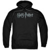 Image for Harry Potter Hoodie - Classic Logo