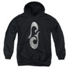 Image for Star Trek: Picard Youth Hoodie - La Sirena Metal Icon