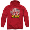 Image for Justice League of America Hoodie - Flash Family