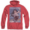 Image for Justice League of America Heather Hoodie - Princess of the Amazons
