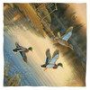 Image for Wild Wings Face Bandana -Ducks On The Lake