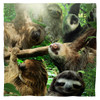 Image for Sloth Club Face Bandana -