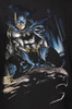 Image Closeup for Batman Womens T-Shirt - Perched