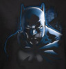 Batman T-Shirt - Don't Mess With the Bat