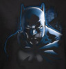Image Closeup for Batman Womens T-Shirt - Don't Mess With the Bat