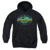 Image for Survivor Youth Hoodie - All Stars