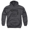Image for Cheers Youth Hoodie - The Standard