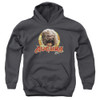 Image for The Dark Crystal Youth Hoodie - Aughra Circle