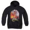 Image for The Dark Crystal Youth Hoodie - Crystal Poster