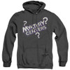Image for Dubble Bubble Heather Hoodie - Mystery Centers