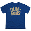 Image for Dum Dums Youth T-Shirt - Distressed Logo