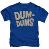 Image for Dum Dums Kids T-Shirt - Distressed Logo