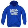 Image for Dum Dums Youth Hoodie - Distressed Logo