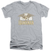 Image for Hawkman V-Neck T-Shirt Fly By