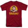 Image for Shazam T-Shirt - Shazam Circle