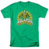 Image for Aquaman T-Shirt - Arms Akimbo