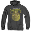 Image for Shrek Heather Hoodie - Authentic