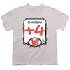 Image for Dungeons and Dragons Youth T-Shirt - Charisma