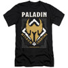 Image for Dungeons and Dragons Premium Canvas Premium Shirt - Paladin