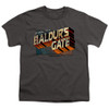 Image for Dungeons and Dragons Youth T-Shirt - Baldurs Gate