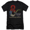 Image for Dungeons and Dragons Premium Canvas Premium Shirt - Dragons in Dragons