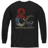 Image for Dungeons and Dragons Youth Long Sleeve T-Shirt - Dragons in Dragons