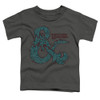 Image for Dungeons and Dragons Toddler T-Shirt - Ampersand Classes