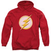 Image for Flash Hoodie - New Logo