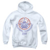 Image for Top Gun Youth Hoodie - Volleyball