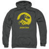 Image for Jurassic Park Hoodie - T-Rex Sphere on Charcoal