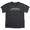 Image for The Three Stooges Youth T-Shirt - Metallic Logo