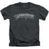 Image for The Three Stooges Kids T-Shirt - Metallic Logo