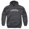 Image for The Three Stooges Youth Hoodie - Metallic Logo
