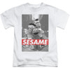 Image for Sesame Street Kids T-Shirt - Sesame