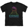 Image for Sesame Street Youth T-Shirt - CM Halftone