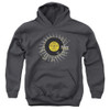 Image for Sun Records Youth Hoodie - Established