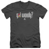 Image for Woody Woodpecker V-Neck T-Shirt Got Woody
